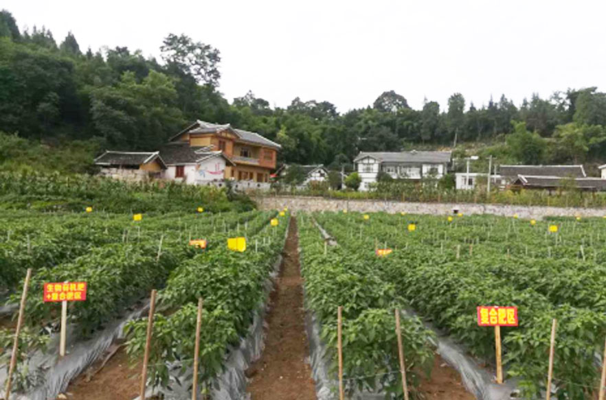 貴陽生物有機肥